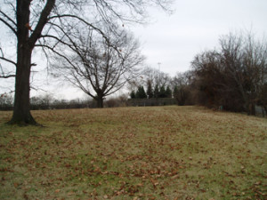 davidson-2