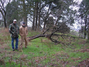 Greene and Hawkins Counties