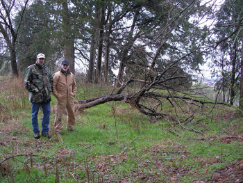 Greene and Hawkins Counties